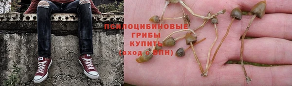 соль курить ск Гусиноозёрск