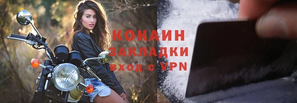 крисы Ельня