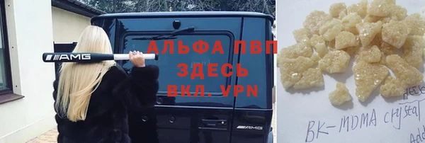 крисы Ельня