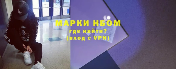 хмурый Дмитров