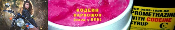 хмурый Дмитров