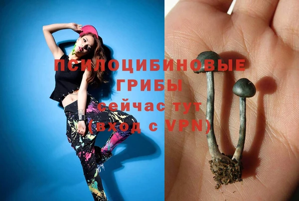 apvp Гусев