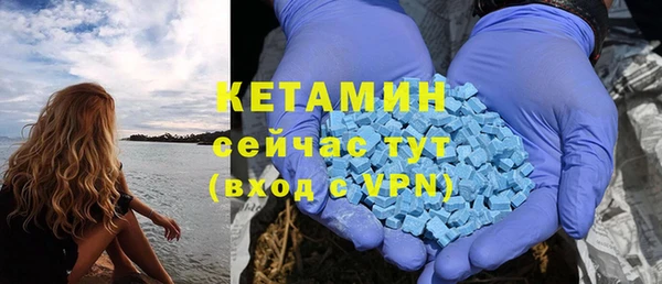 крисы Ельня