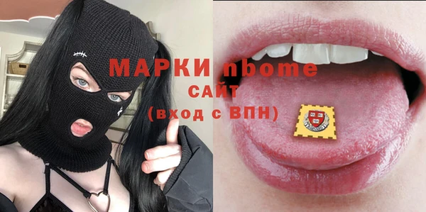 apvp Гусев